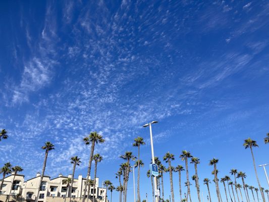 The Bungalow Huntington Beach by null