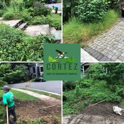 Cortez Lawn & Landscaping