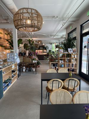 Shop Halo Halo by null