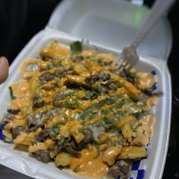 Carne asade fries