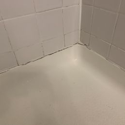 Mildew/mold in shower Mildew/mold in shower