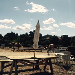 Bryerly Farms - Nice day at Bryerly Farms!