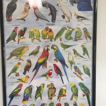 For Pet's Sake - Veterinarians Near Me - Decatur, Georgia