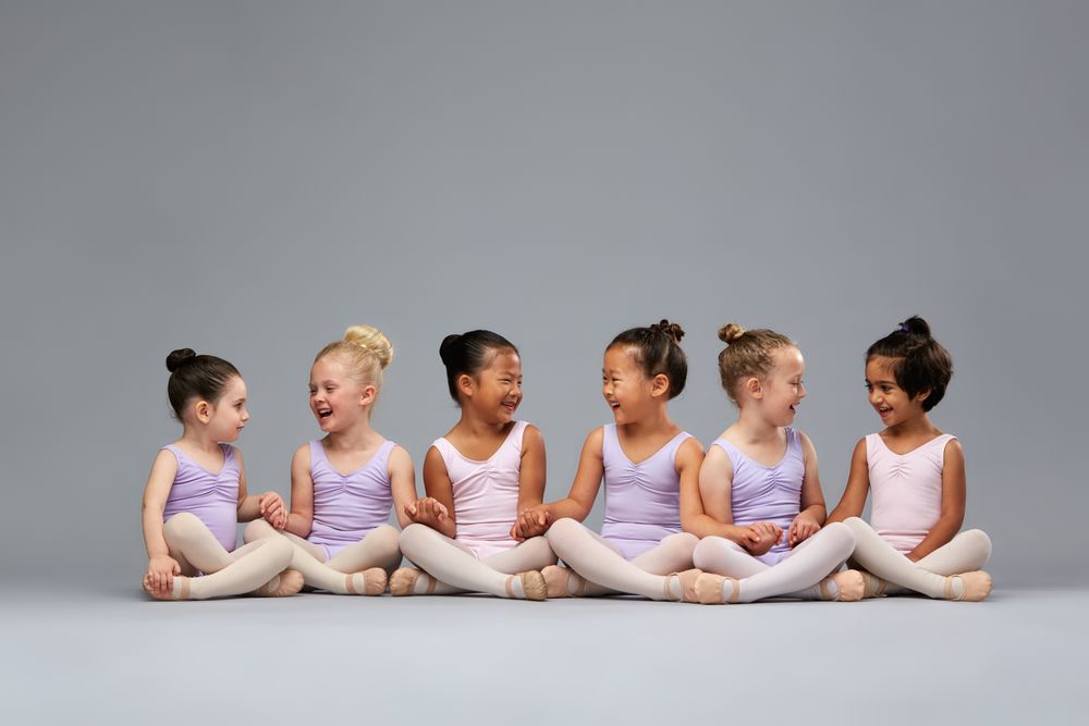 The Dance Academy & Ballet Academy North Logo