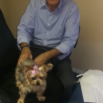 Ismat El-Souki, DC - He adjust my yorkie Sophia. - Chiropractors Near Me - Montebello, California Ismat El-Souki, DC - He adjust my yorkie Sophia. - Chiropractors Near Me - Montebello, California