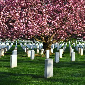 Alpine Funeral Home - Funeral Services & Cemeteries Near Me - Fort Worth, Texas