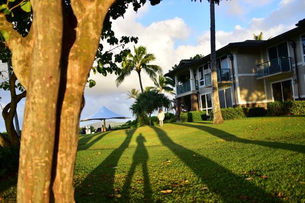 The Westin Princeville Ocean Resort Villas by null