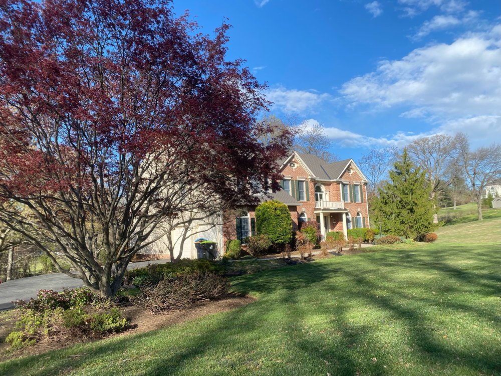Will Be Green - tree service in Fallston, MD
