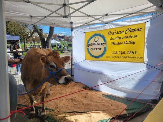 Capitol Hill Sunday Farmers Market by null
