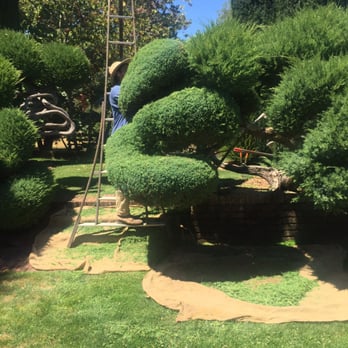 Filoli - Master at work - Botanical Gardens Near Me - Woodside, California