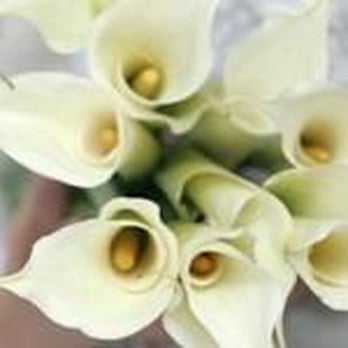 B D Events and Decor - Party & Event Planning Near Me - Lantana, Florida B D Events and Decor - Party & Event Planning Near Me - Lantana, Florida