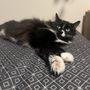 Photo of Pets On Broadway Animal Hospital
