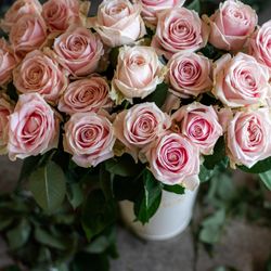 Blooms with Zevity