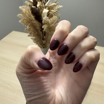 Daily Nails & Spa - Nail Salons Near Me - Springfield, Virginia