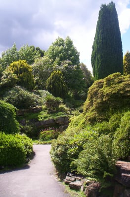 Leonardslee Lakes & Gardens by null