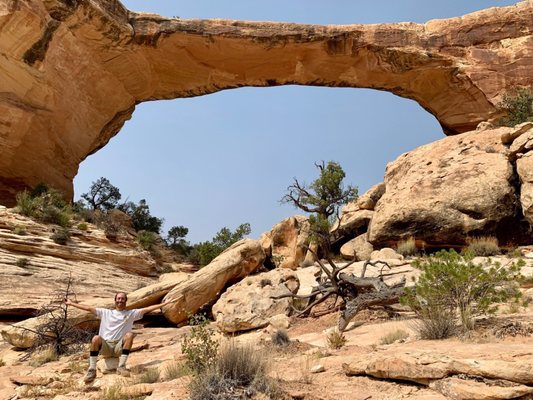Natural Bridges National Monument by null