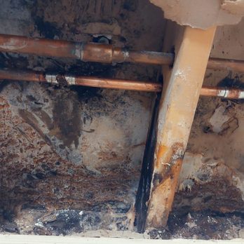 The Bentley at Marietta - This is black mold, master bathroom. Hole never repaired. - Apartments Near Me - Marietta, Georgia