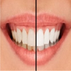 Robert M Kikel, DDS