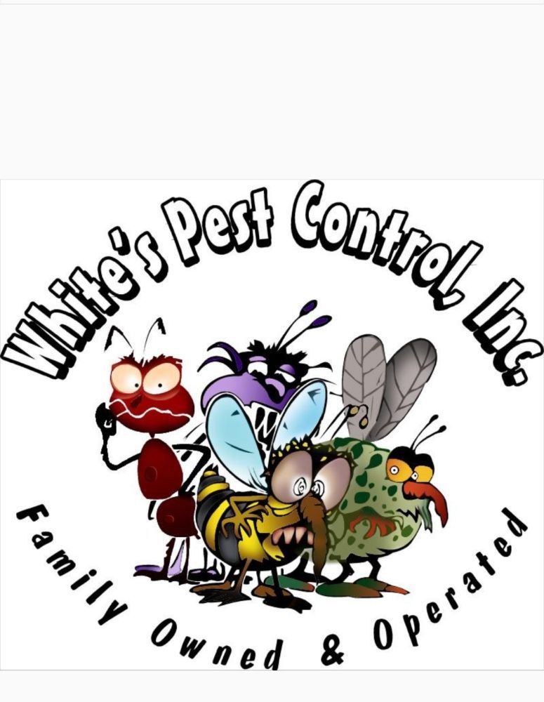WHITES PEST CONTROL 1510 County Rd 1107, Vinemont, Alabama Pest