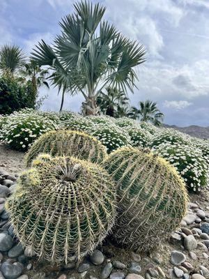 Nick's Italian Bistro by null