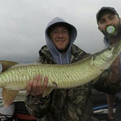 Mark’s Musky Adventures - A nice musky caught on a rainy day on Chautauqua Lake.