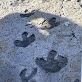 Dinosaur Ridge - Museums Near Me - Morrison, Colorado