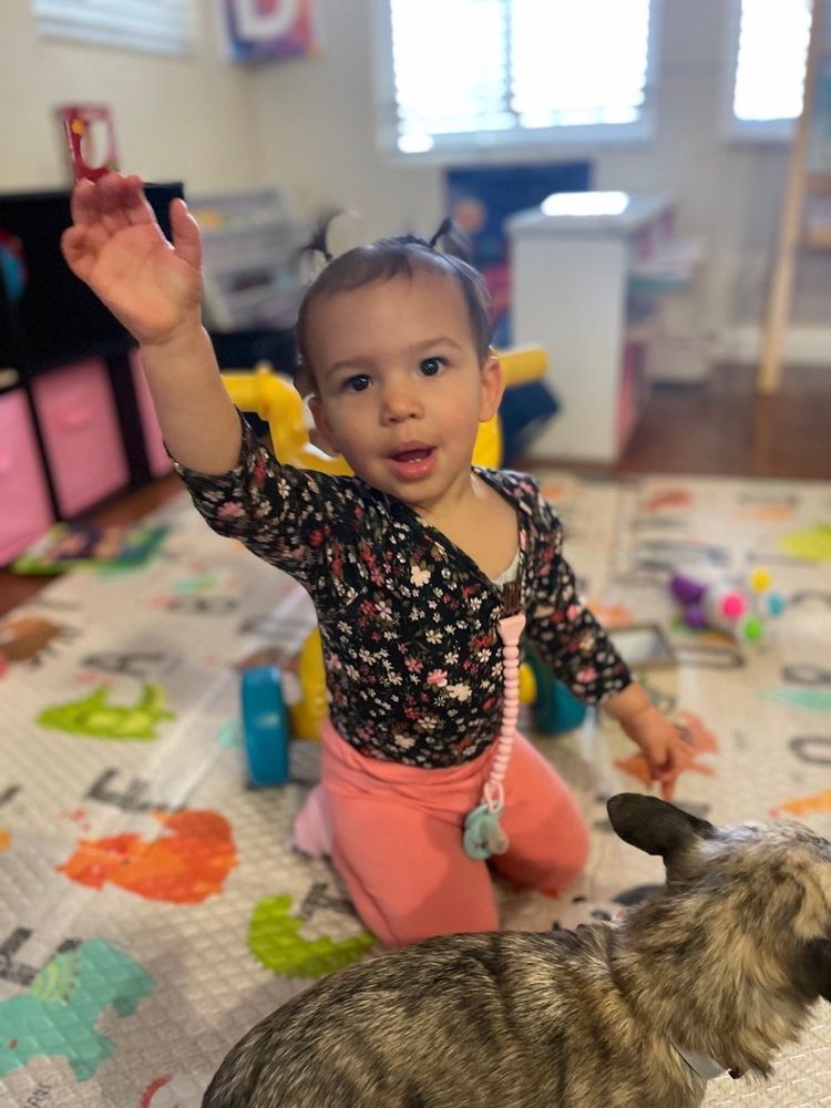 Blossoming Friends Preschool - childcare center in Sacramento, CA