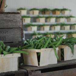 Evans Farms - Evans Farms grows traditional green beans, yellow wax beans, and italian flat green beans.