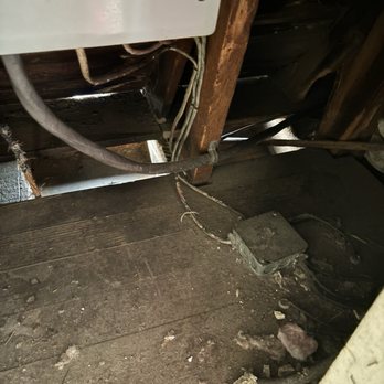 Wicked Wildlife Control - See that wiring that's squirrels just chewing on it - Wildlife Control Near Me Wicked Wildlife Control - See that wiring that's squirrels just chewing on it - Wildlife Control Near Me