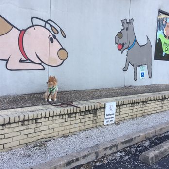 Mud Puppies - Riverside - Pet Groomers Near Me - Austin, Texas