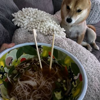 Pho Quyen Vietnamese Restaurant - Barry - Vietnamese Near Me - Pinellas Park, Florida