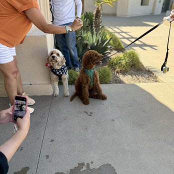Broken Yolk Cafe - Dog Friendly - Breakfast & Brunch Near Me - Rancho Cucamonga, California Broken Yolk Cafe - Dog Friendly - Breakfast & Brunch Near Me - Rancho Cucamonga, California