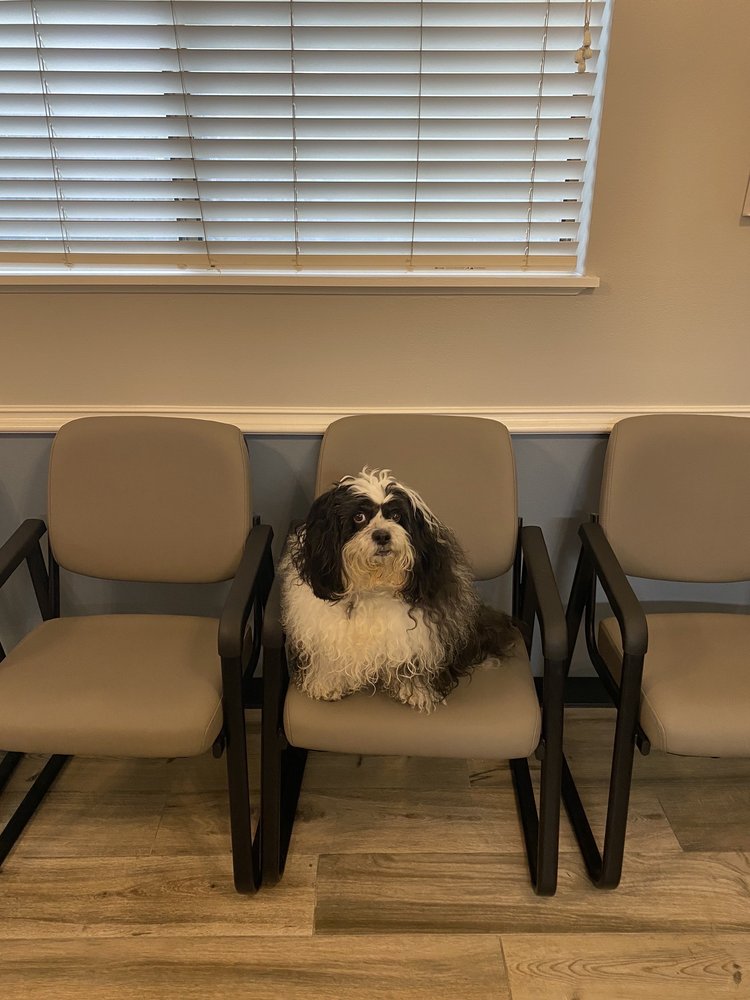 LAKEWOOD FOREST VETERINARY HOSPITAL Updated May 2024 37 Photos & 11