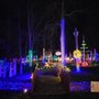 Photo of Memorial Park