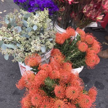 Campbell Farmers Market - Farmers Market Near Me - Campbell, California