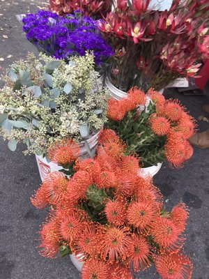 Campbell Farmer's Market by null