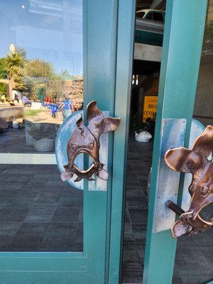 ABQ BioPark Aquarium by null