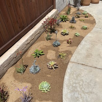 Castillo Landscaping - Landscaping Near Me