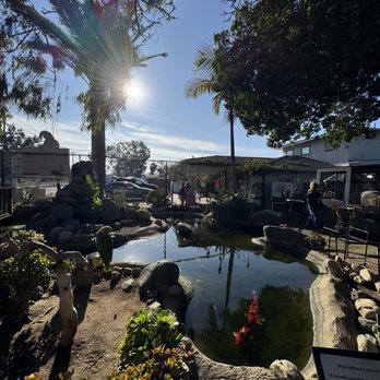 Free Flight - Animal Shelters Near Me - Del Mar, California Free Flight - Animal Shelters Near Me - Del Mar, California