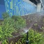 Photo of Alemans Sprinklers & Design
