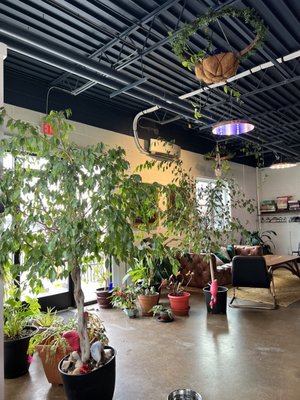 Tabol Brewing by null