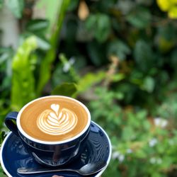 Goodfolk Cafe - Coffee and Green Space!