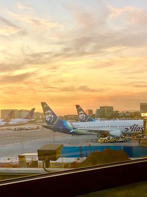 Alaska Airlines - LAX by null