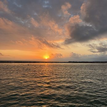 Southern Star Dolphin Cruise - Whale Watching Tours Near Me - Destin, Florida Southern Star Dolphin Cruise - Whale Watching Tours Near Me - Destin, Florida