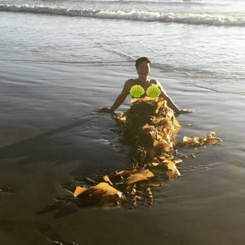 Black's Beach - Seaweed mermaid!!! - Beaches Near Me - San Diego, California Black's Beach - Seaweed mermaid!!! - Beaches Near Me - San Diego, California