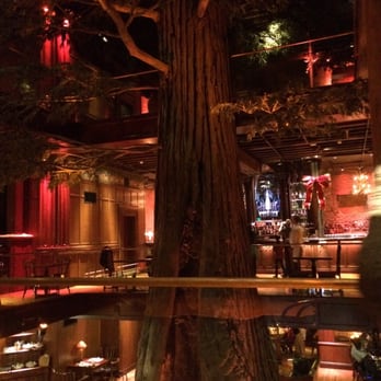 Clifton's Republic - 3rd floor bar area with giant tree!! - Bars Near Me - Los Angeles, California