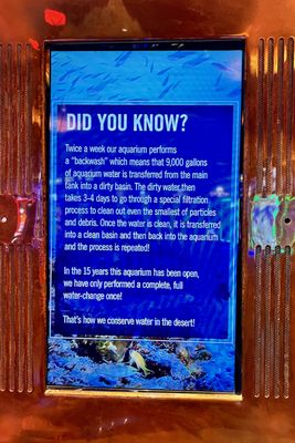 The Aquarium at Silverton Casino by null