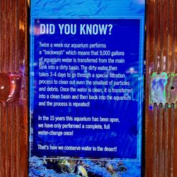 The Aquarium at Silverton Casino