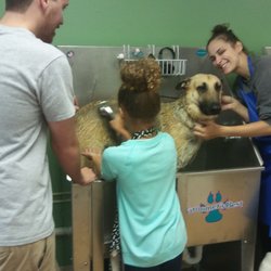 Muddy Mutt & Mercantile - No bending over the tub, or mess to clean up