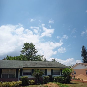 Colton's Tree Service - Tree Services Near Me Colton's Tree Service - Tree Services Near Me